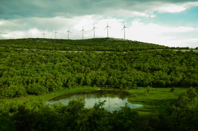 Polat Enerji, Dünya Rüzgâr Günü’nde Rüzgâr Enerjisinin Önemine Dikkat Çekiyor