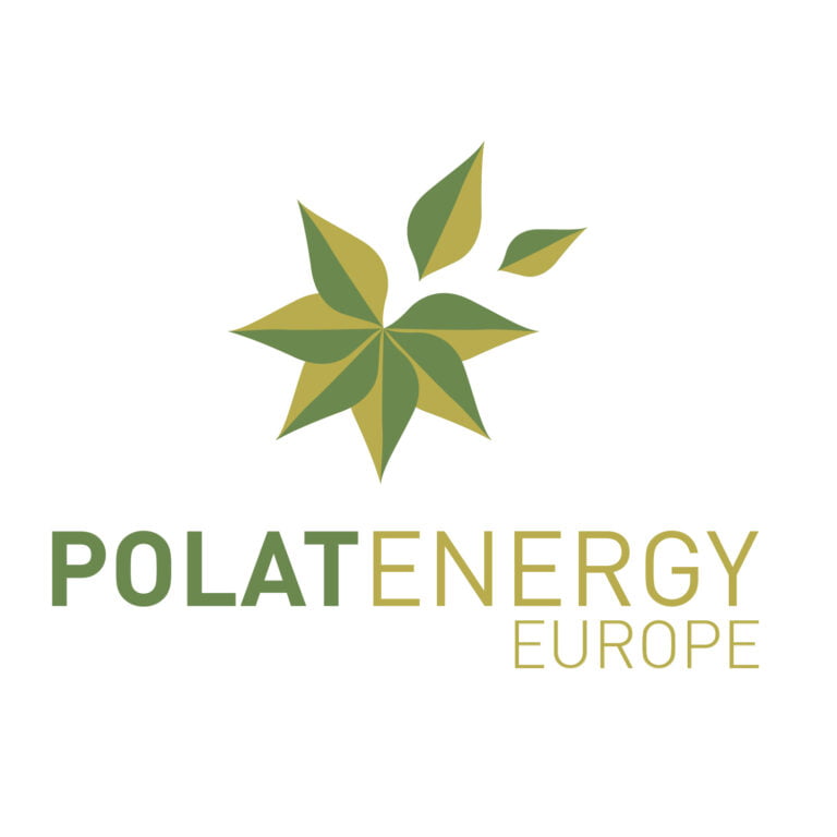 POLAT ENERJİ, RÜZGAR VE GÜNEŞİN GÜCÜNÜ BULUŞTURUYOR
